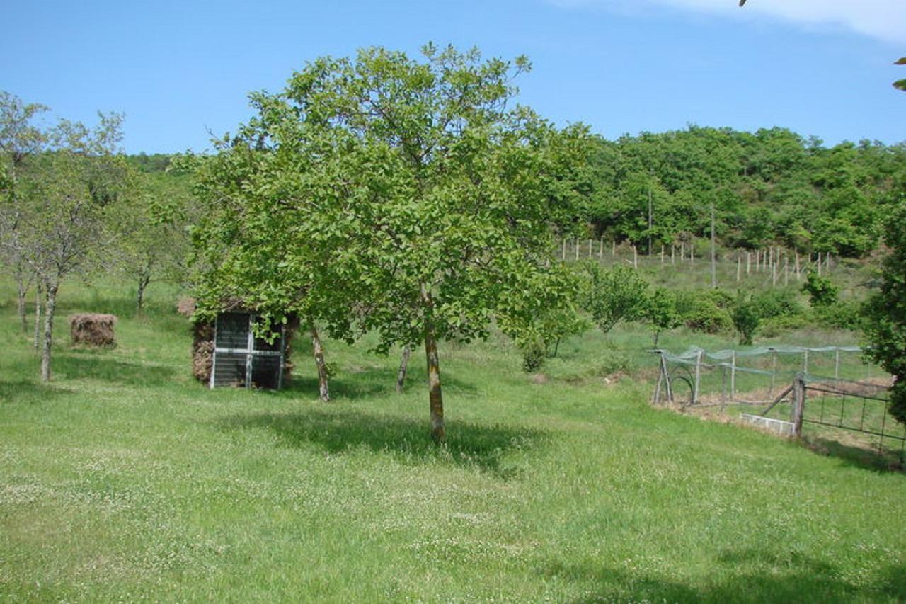 Casa Vacanza Le Corniole Civitella in Val di Chiana Exterior photo